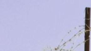 Una torre de observación en el corredor Philadelphi en 2005 cuando el corredor estaba bajo control israelí.