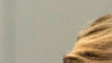 La empresaria Paris Hilton celebró el primer año de su hijo Phoenix, convirtiendo su casa en un mar con decoraciones.