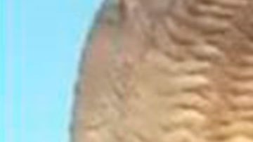 Escalofriantes detalles del asesinato de una artista hispana que viajaba en bicicleta por Brasil