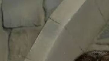 Los hechiceros de Waverly Place