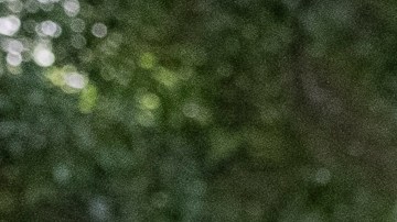 Leonardo Garcia posa para un retrato afuera de la lonchera Colombia Exotic en Los Angeles.