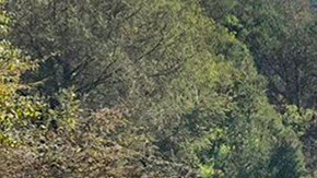 Policía de Guerrero