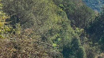 Policía de Guerrero