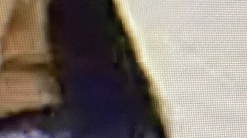 Adolescente acusado de asesinato escapó de un hospital en Filadelfia: "Es considerado peligroso"