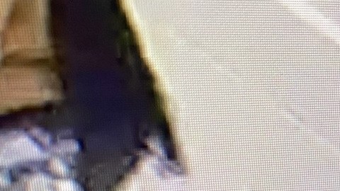 Adolescente acusado de asesinato escapó de un hospital en Filadelfia: "Es considerado peligroso"