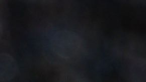 "Chicharito" Hernández celebra un gol con la camiseta del Manchester United en el 2010.