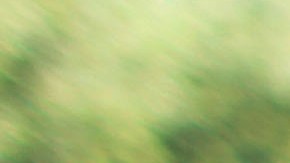 Solicitud para liberar a adolescente guatemalteco acusado de muerte de oficial tras infarto crece