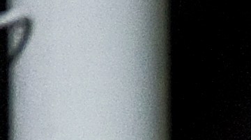 Sergio Bernal levantó cinco Liga MX.