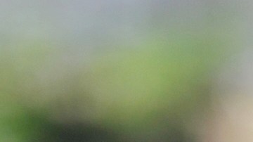 Ohio veta los tratamientos de reasignación de género para menores