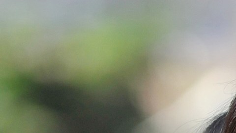 Ohio veta los tratamientos de reasignación de género para menores