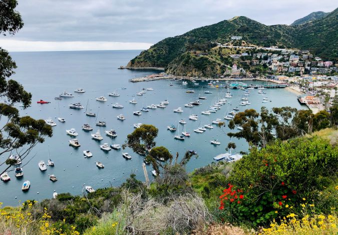 View from Avalon harbor from the Catalina Island ridge top, about 1 hour away from the Los Angeles coast, on April 20, 2019. (Photo by Daniel SLIM / AFP) (Photo credit should read DANIEL SLIM/AFP via Getty Images)
