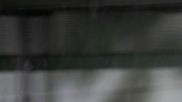 AMLO confirma el secuestro de 31 migrantes que iban en autobús rumbo a la frontera con EE.UU.