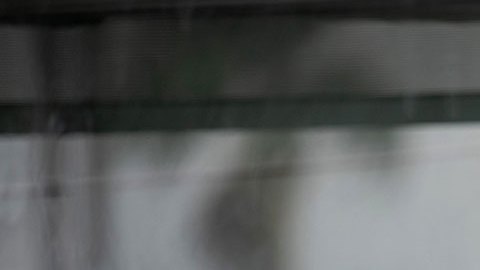AMLO confirma el secuestro de 31 migrantes que iban en autobús rumbo a la frontera con EE.UU.