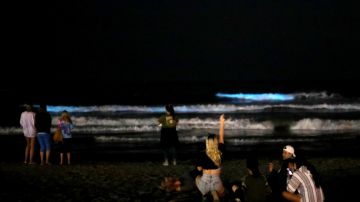 NEWPORT BEACH, CA - APRIL 24: People stand on the beach at night to watch the waves glow blue due to bioluminescence on April 24, 2020 in Newport Beach, California. Bioluminescence is a phenomenon caused by certain kinds of phytoplankton associated with red tide. (Photo by Michael Heiman/Getty Images)