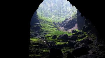 Mujer murió tras caer desde 100 pies cuando exploraba una cueva en Virginia