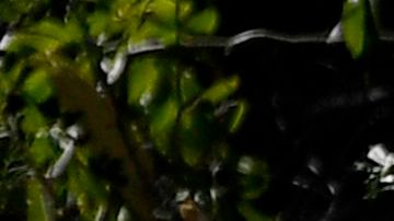 The vehicle driven by golfer Tiger Woods lies on its side in Rancho Palos Verdes, California, on February 23, 2021, after a rollover accident. - US golfer Tiger Woods was hospitalized Tuesday after a car crash in which his vehicle sustained "major damage," the Los Angeles County Sheriff's department said. Woods, the sole occupant, was removed from the wreckage by firefighters and paramedics, and suffered "multiple leg injuries," his agent said in a statement to US media. (Photo by Patrick T. FALLON / AFP) (Photo by PATRICK T. FALLON/AFP via Getty Images)