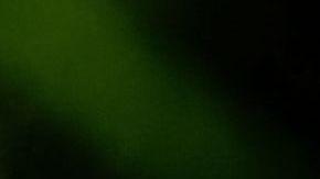A penny, indicating to the family of the fallen soldier that someone has stopped by to pay their respects, is seen next to a rose on a headstone at Los Angeles National Cemetery on Memorial Day, in Los Angeles, California on May 31, 2021. (Photo by Chris Delmas / AFP) (Photo by CHRIS DELMAS/AFP via Getty Images)