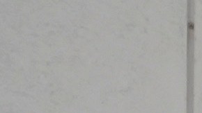 COVID enciende alarmas en México; reportan saturación de hospitales