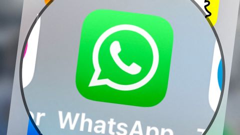 La nueva campaña contra la desinformación podrá compartirse fácilmente por WhatsApp y otros sistemas de mensajería.