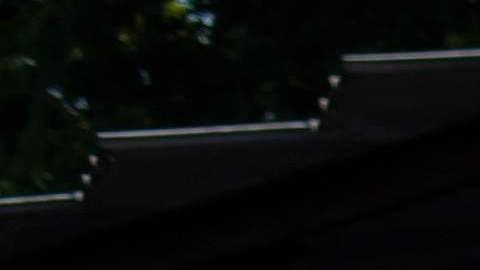 Encontraron un cadáver en la misma casa donde una mujer estuvo secuestrada por años en Houston