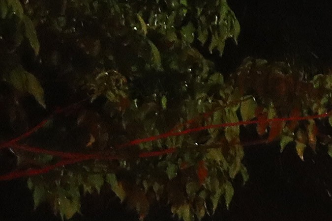 VAN NUYS, CALIFORNIA - JUNE 01: A firefighter works in the aftermath of a blaze set during looting of shops at a strip mall amid demonstrations over George Floyd’s death on June 1, 2020 in Van Nuys, California. California Governor Gavin Newsom has deployed National Guard troops to Los Angeles County to curb unrest which occurred amid some demonstrations. Former Minneapolis police officer Derek Chauvin was taken into custody for Floyd's death and charged with third-degree murder. (Photo by Mario Tama/Getty Images)