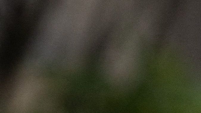 Copa del Mundo de la FIFA.