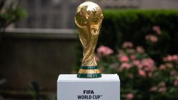 Copa del Mundo de la FIFA.