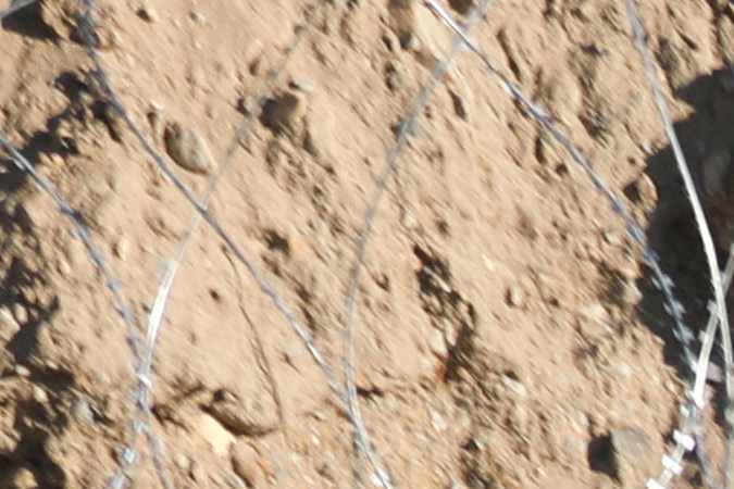 Una mujer y dos niños murieron en el río Grande después de que se le impidió al CBP intervenir