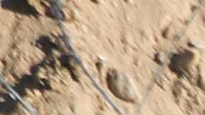 Una mujer y dos niños murieron en el río Grande después de que se le impidió al CBP intervenir