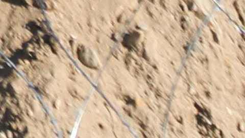 Una mujer y dos niños murieron en el río Grande después de que se le impidió al CBP intervenir