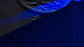 El presidente Biden, la primera dama Jill, la vicepresidenta Harris y su esposo, Doug Emhoff, lideran eventos sobre derechos reproductivos.