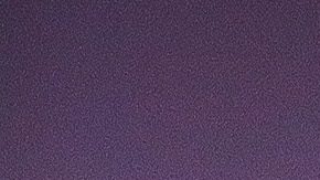 Julio César Chávez Jr.