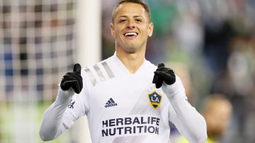 SEATTLE, WASHINGTON - NOVEMBER 01: Javier Hernandez #14 of Los Angeles FC celebrates his goal during the first half against the Seattle Sounders at Lumen Field on November 01, 2021 in Seattle, Washington. (Photo by Steph Chambers/Getty Images)