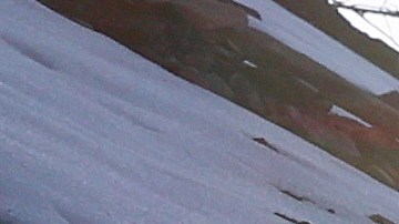 LA CANADA FLINTRIDGE, CALIFORNIA - APRIL 01: Snow melts beneath burned trees in a newly re-opened section of the Angeles National Forest, which burned during the 2020 Bobcat Fire, on April 1, 2022 near La Canada Flintridge, California. The fire burned 115,000 acres and 60 percent of the burned area reopened to the public today. Climate change is increasing the severity and frequency of wildfires in California. California's statewide snowpack currently stands at 38 percent of average. (Photo by Mario Tama/Getty Images)