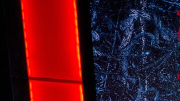 Comenzó el rodaje de Stranger Things 5: ¿quiénes estarán en esta temporada?