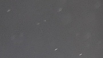 Tepper es propietario de los Carolina Panthers y Charlotte FC.