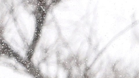 PALMDALE, CALIFORNIA - MARCH 01: A person cycles through snow in Los Angeles County during another winter storm in Southern California on March 01, 2023 in Palmdale, California. The final in a series of winter storms in the Los Angeles region brought snow levels to as low as 1,000 feet in some places while further boosting the snowpack. California’s snowpack level stands at 189 percent of the average for March 1, according to the California Department of Water Resources. California Governor Gavin Newsom has declared a state of emergency due to winter storms for 13 counties including Los Angeles County. (Photo by Mario Tama/Getty Images)