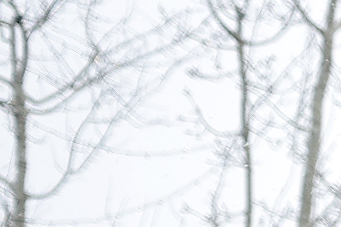 SOUTH LAKE TAHOE, CALIFORNIA - MARCH 21: People carry skis as they walk towards a resort on March 21, 2023 in South Lake Tahoe, California. As a 12th atmospheric river hits California, the Lake Tahoe region is getting more snow. According to the UC Berkeley Central Sierra Snow Lab, this snow season has become the second snowiest season on record since the lab first started keeping records 77 years ago. More than 56.4 feet of snow has fallen in the Sierras this season surpassing the storm of 1982-83 which had 55.9 feet. (Photo by Justin Sullivan/Getty Images)
