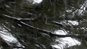 SOUTH LAKE TAHOE, CALIFORNIA - MARCH 21: Snow collects on a sign in front of the Lake Tahoe Resort on March 21, 2023 in South Lake Tahoe, California. As a 12th atmospheric river hits California, the Lake Tahoe region is getting more snow. According to the UC Berkeley Central Sierra Snow Lab, this snow season has become the second snowiest season on record since the lab first started keeping records 77 years ago. More than 56.4 feet of snow has fallen in the Sierras this season surpassing the storm of 1982-83 which had 55.9 feet. (Photo by Justin Sullivan/Getty Images)