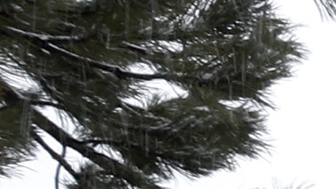 SOUTH LAKE TAHOE, CALIFORNIA - MARCH 21: Snow collects on a sign in front of the Lake Tahoe Resort on March 21, 2023 in South Lake Tahoe, California. As a 12th atmospheric river hits California, the Lake Tahoe region is getting more snow. According to the UC Berkeley Central Sierra Snow Lab, this snow season has become the second snowiest season on record since the lab first started keeping records 77 years ago. More than 56.4 feet of snow has fallen in the Sierras this season surpassing the storm of 1982-83 which had 55.9 feet. (Photo by Justin Sullivan/Getty Images)