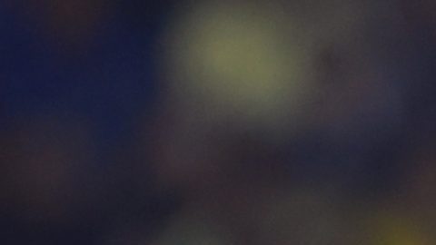 Sebastián Cáceres tiene más de 100 partidos con el Club América.