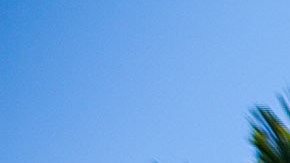 ANAHEIM, CA - JULY 29: A line of police officers guard the Anaheim Police Department before a protest to show outrage for the several recent officer-involved shootings on July 29, 2012 in Anaheim, California. For the past week, protesters have clashed with police resulting in both property damage and many arrests. (Photo by Jonathan Gibby/Getty Images)