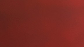 Belinda generó expectación entre sus seguidores con el misterioso uso del emoji de cactus en sus redes sociales.