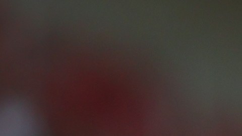 Alexis Vega había sido apartado de las Chivas por sus constantes indisciplinas.