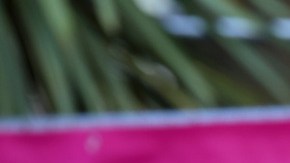 ¿Por qué las hijas de Ryan Gosling aún no han visto Barbie?