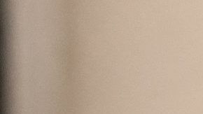 Policía de Miami detiene a dos hombres y son acusados por crimen de odio tras golpiza mujeres de comunidad LGBTQ