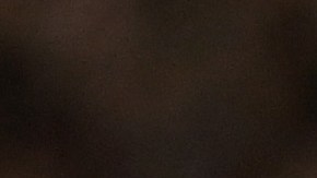 El equipo alemán, el Borussia Dortmund consiguió que Jadon Sancho juego con ellos lo que resta de temporada.