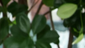 La segunda temporada de ‘The Last of Us’ contará con Kaitlyn Dever como Abby.