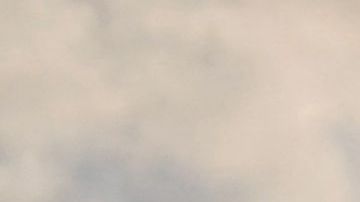 Biden dijo que creía en una solución de dos Estados entre israelíes y palestinos.