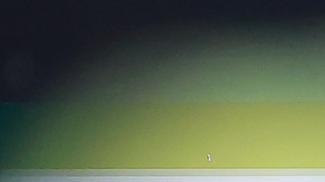 Julián Quiñones se ha convertido en una de las piezas ofensivas más importantes de las Águilas del América.